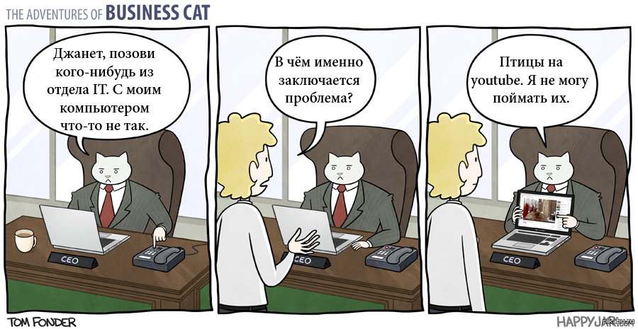 Something got wrong. Бизнес кот. Комиксы про программистов. Кот программист. Кот бизнесмен комиксы.