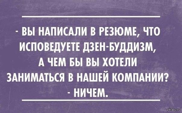 Дзен. | Пикабу