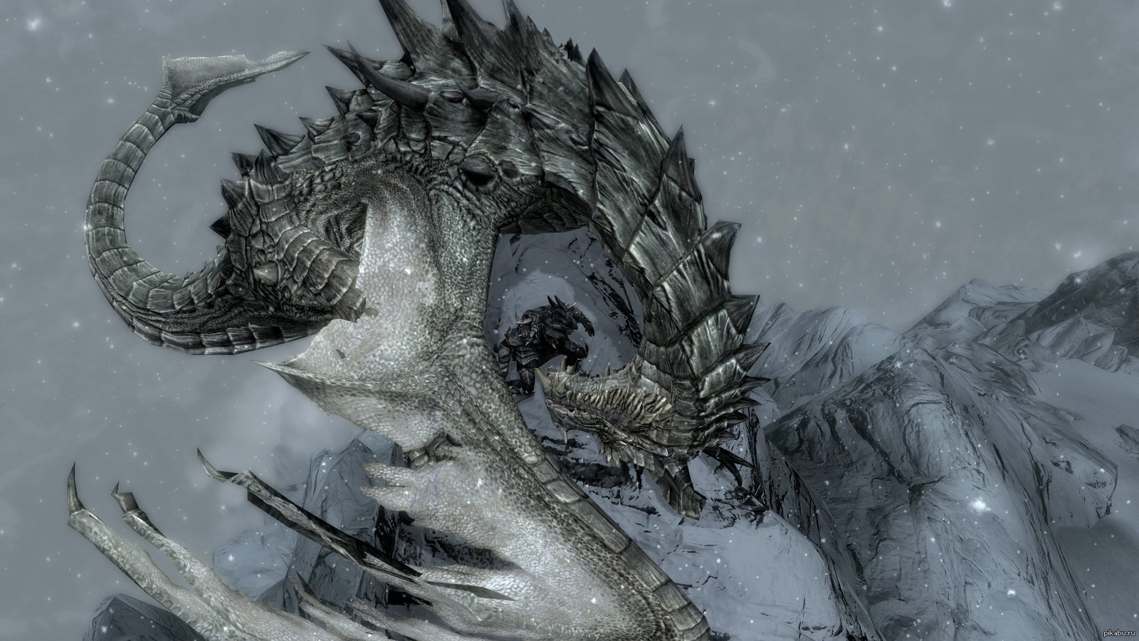Голова дракона на снегу. Змеевидный дракон скайрим. Дракон арт. Снежный дракон. Обои дракон.