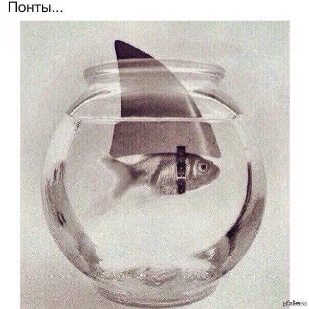 Понты | Пикабу
