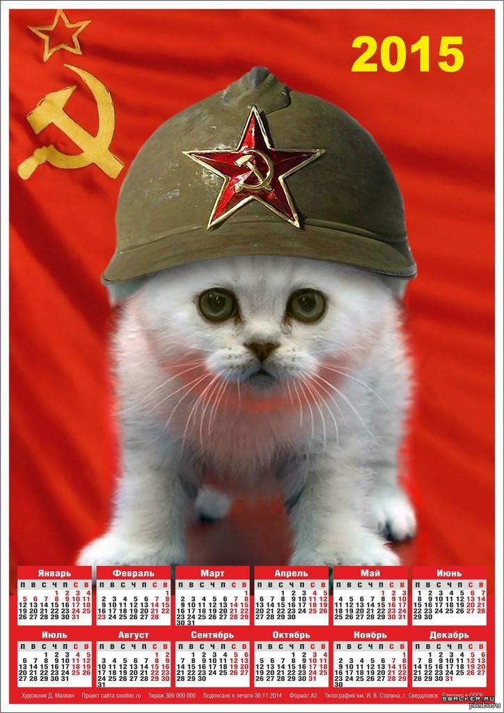 Наш котэ ! | Пикабу