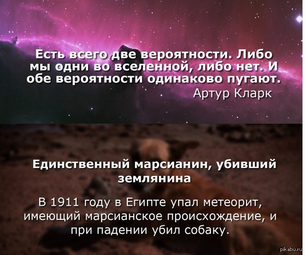 Обе одинаковые. Мы не одни во Вселенной. Цитата не одни во Вселенной. Мы одни во Вселенной. Артур Кларк одни во Вселенной.