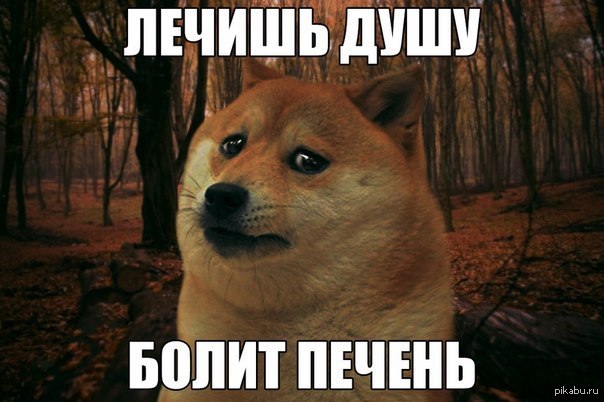 1417978089_2100108699.jpg