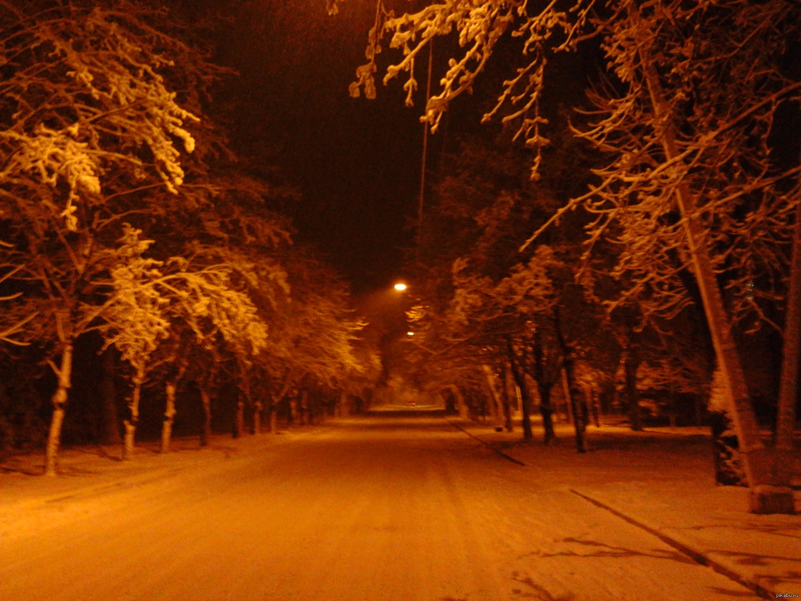 парк в стаханове