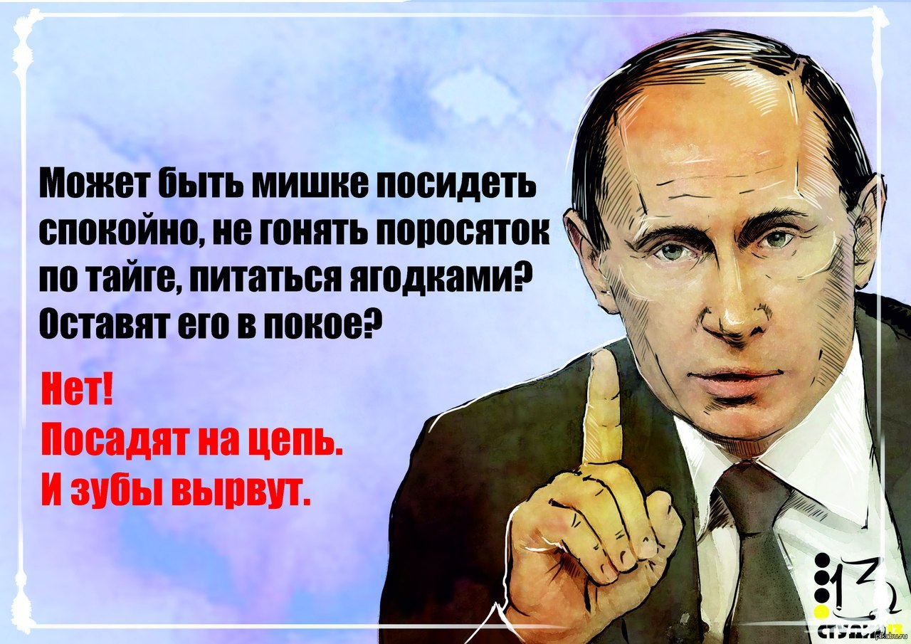 Книга Цитаты И Афоризмы Владимира Путина Купить