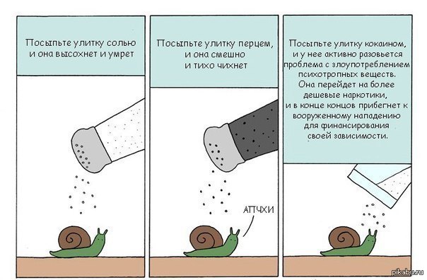 Анекдот про соль деньги. Анекдот про улитку. Улитка и соль. Комикс про улитку. Улитка Мем.