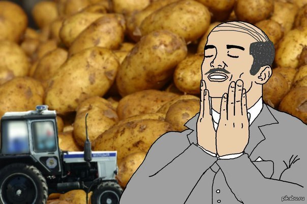 Feels good to be home. Картофель мемы. Лукашенко Мем картошка. Смешной картофель.