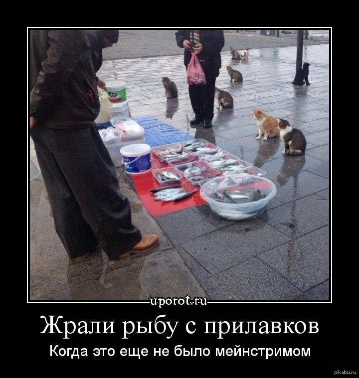 У него только чего нет