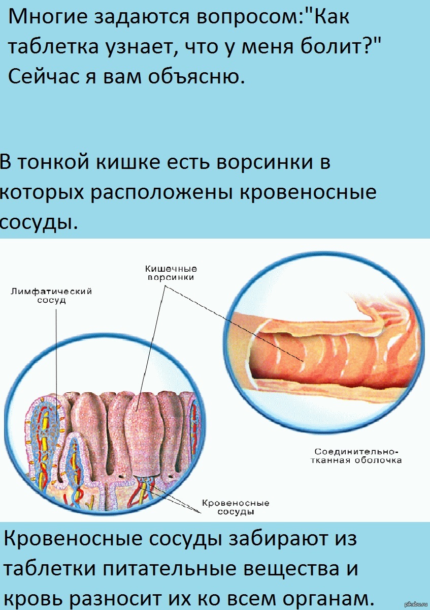 Как действуют таблетки. Как таблетка узнает что болит. Как таблетка знает что у нас болит. Откуда таблетка знает где у меня болит.