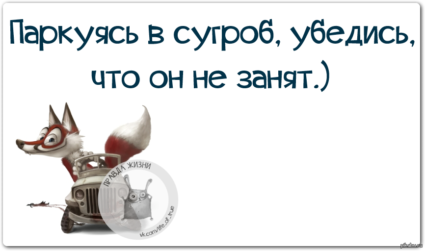 Шутки про деньги. Прежде чем что-то сказать. Там где мысли. Фразы про тупых людей. Афоризмы про правила.