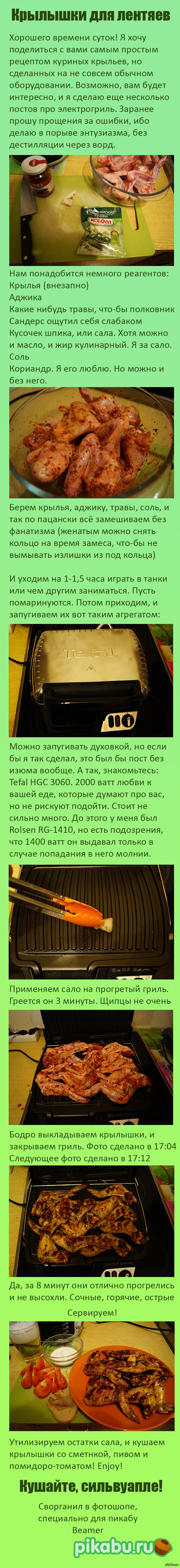 Простой рецепт крыльев на электрогриле. | Пикабу