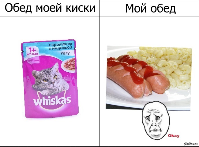 Эмм.. справедливость | Пикабу