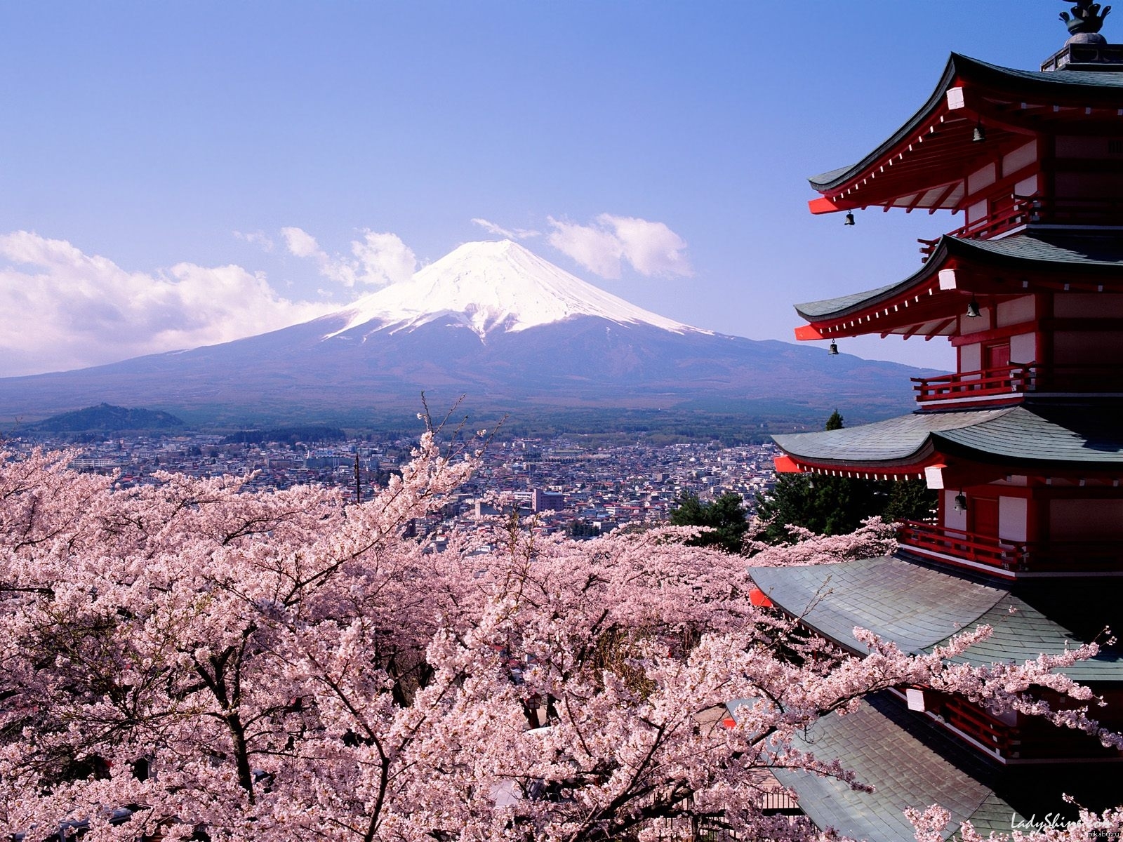 Tokyo kyoto. Фудзияма Япония. Токио гора Фудзияма. Япония Фудзияма Сакура храм. Замок Хиросаки Сакура.