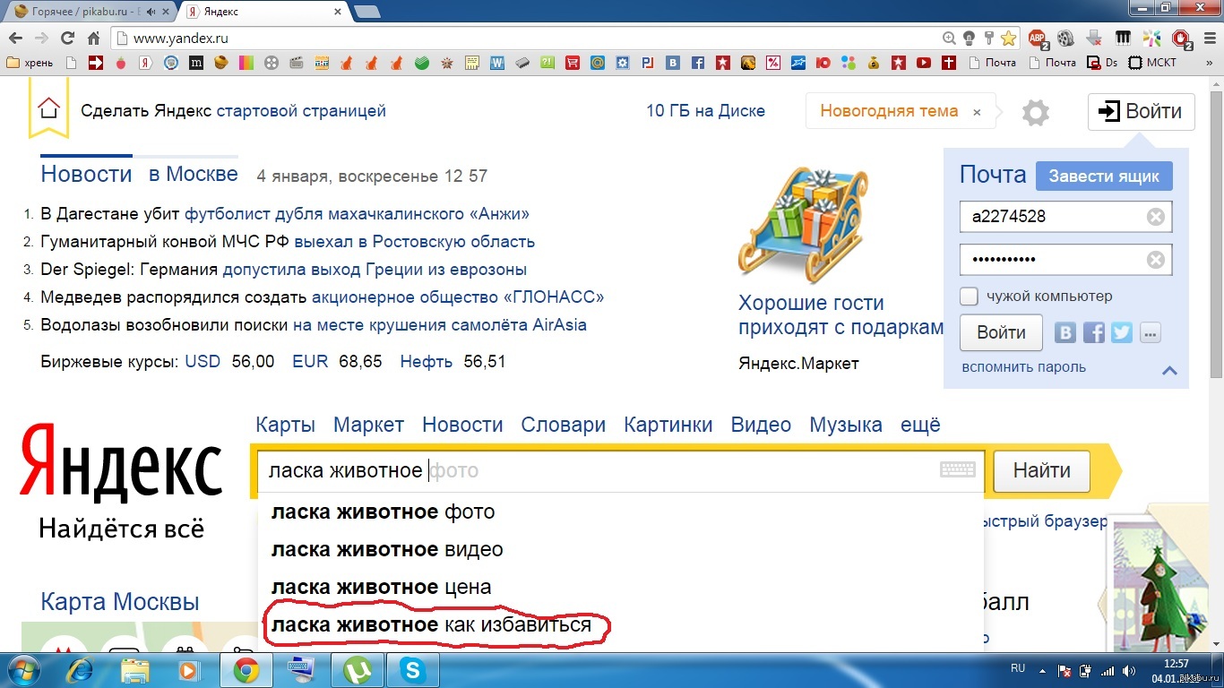 Решил я тут завести зверушку, ласку ... дай думаю почитаю про неё | Пикабу