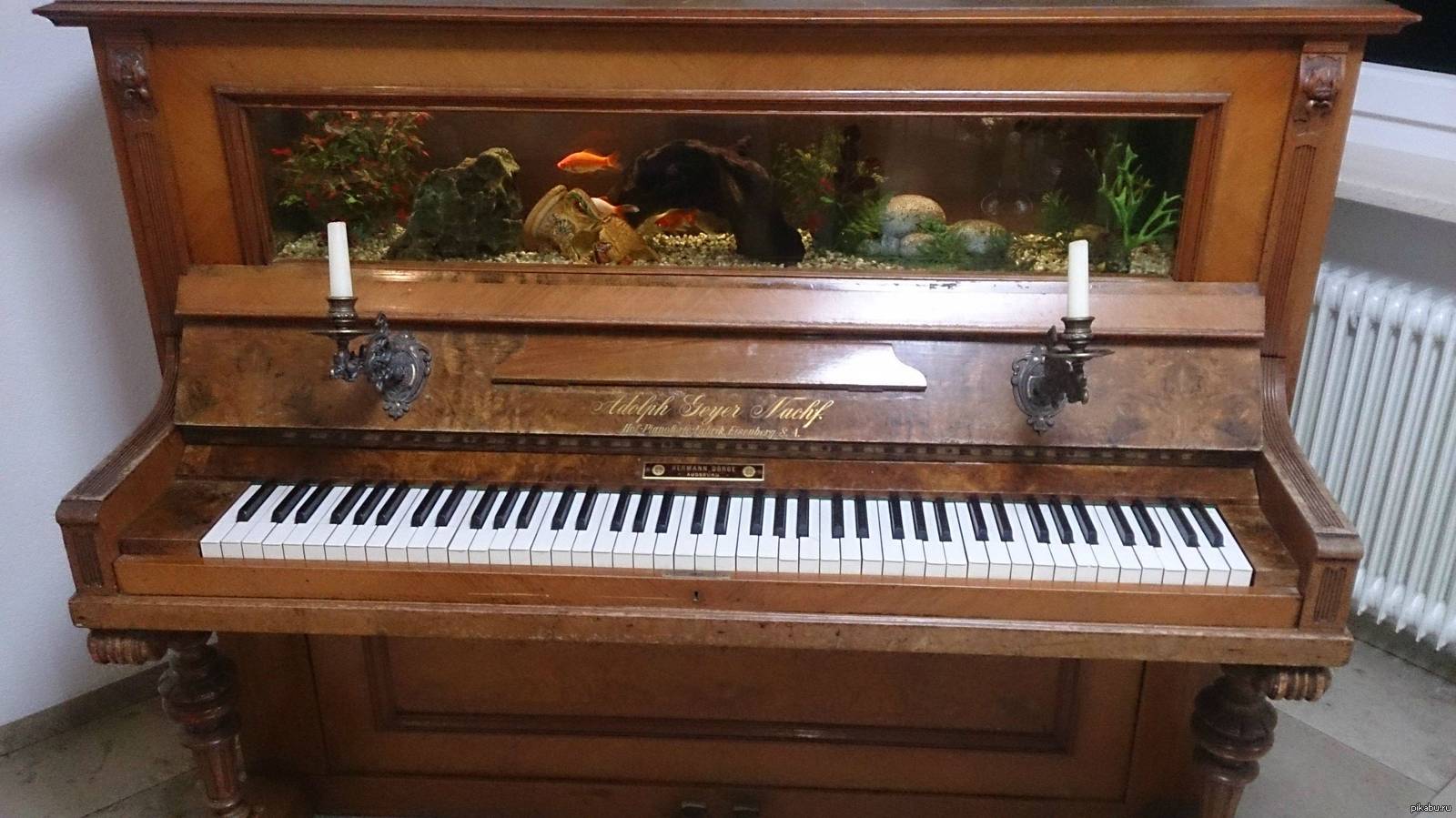 Аквариум пианино