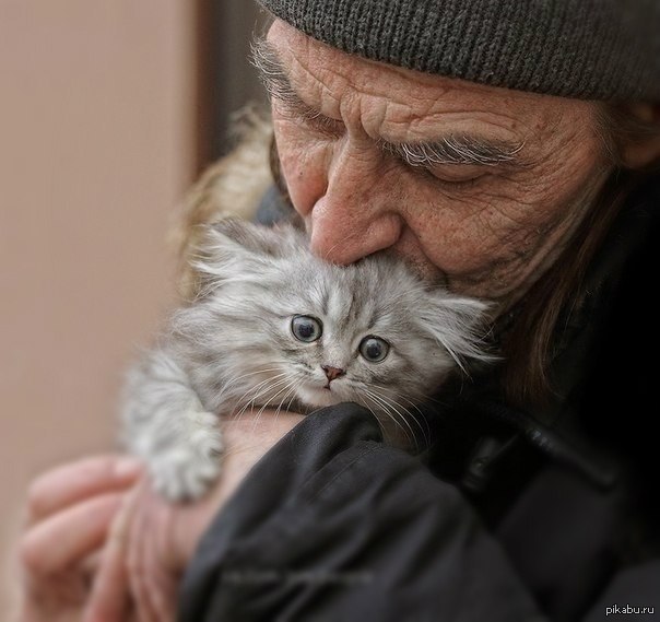 Доверчивый времечко посмеиваться питомец