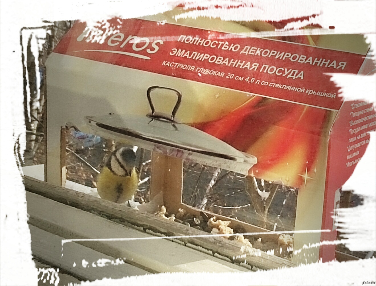 Кормушка | Пикабу