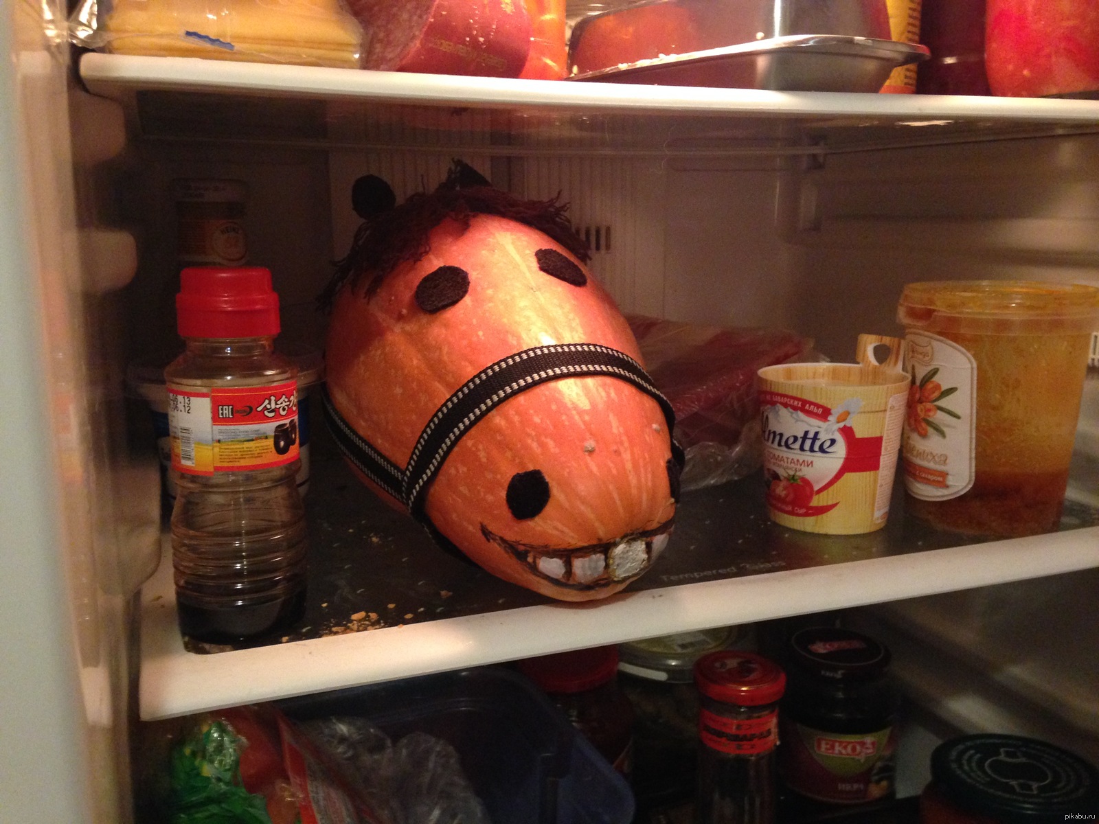 Холодильник для лошадок