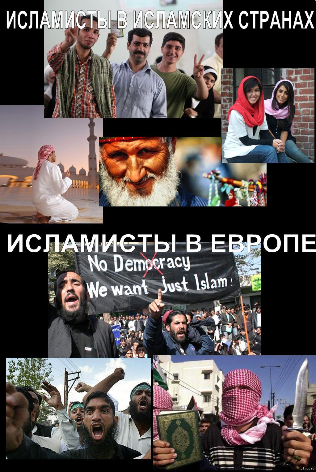 Как я вижу мусульман | Пикабу