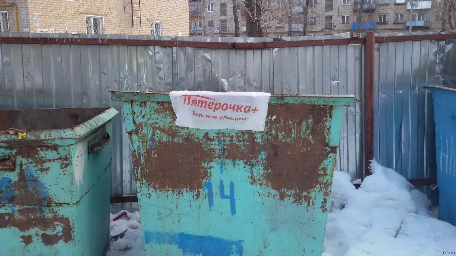 Есть чем удивить | Пикабу