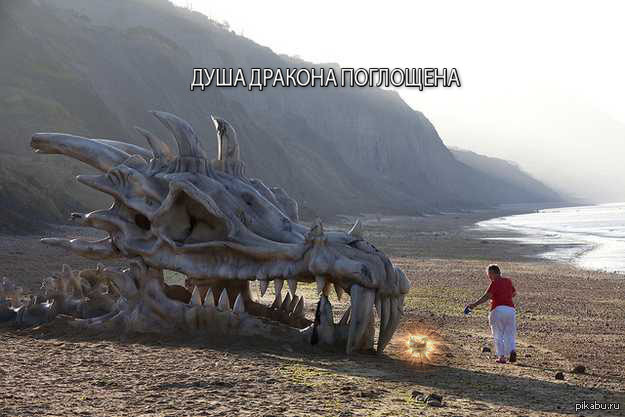 Настоящий огромный. Юрское побережье череп дракона. Череп дракона на пляже игра престолов. Драконы в реальной жизни. Китайский дракон в реальной жизни.