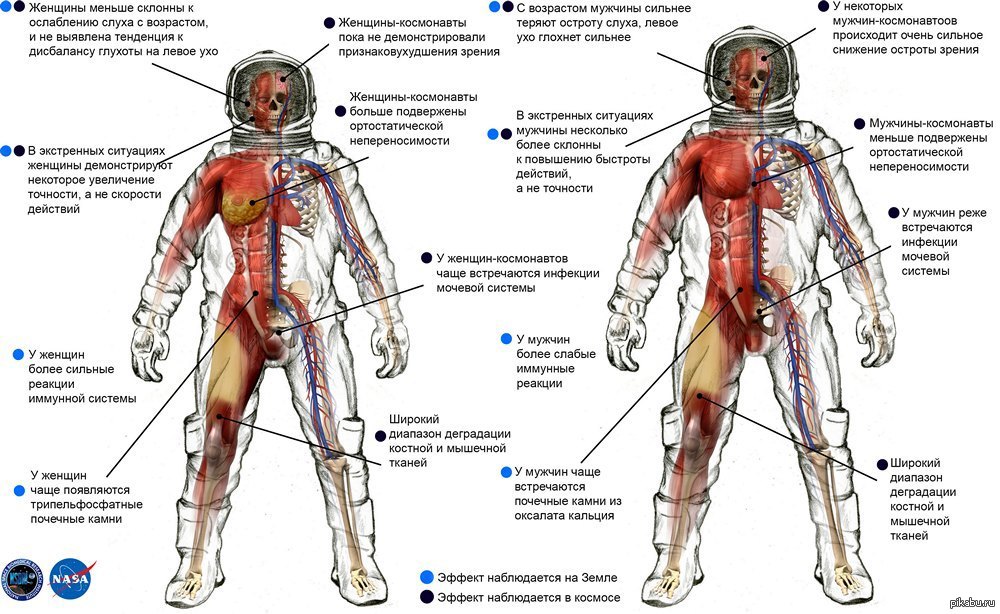 Более подвержены. Влияние невесомости на человека. Влияние космоса на организм человека. Негативное влияние невесомости на организм человека. Воздействие невесомости на организм Космонавта.