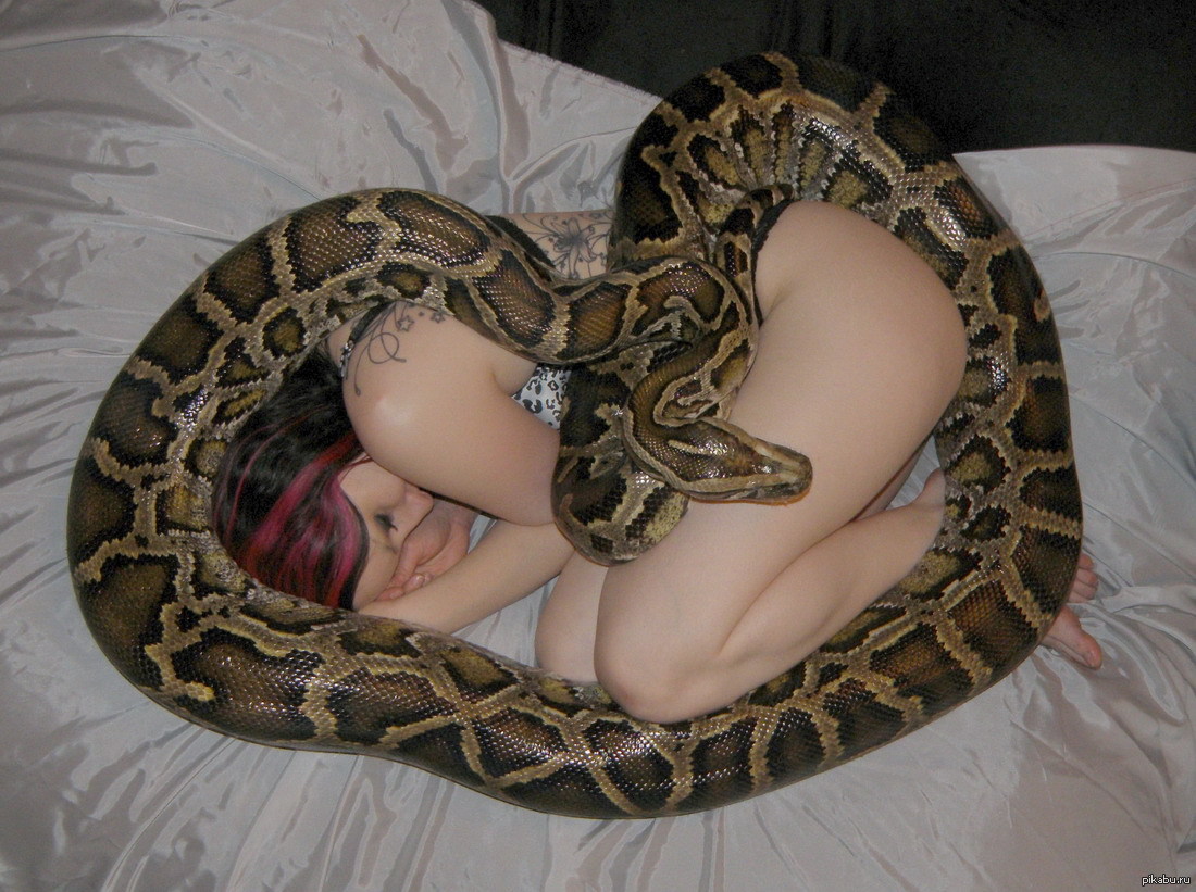She is snake. Девушка змея. Девушка и питон. Девушка со змеями.