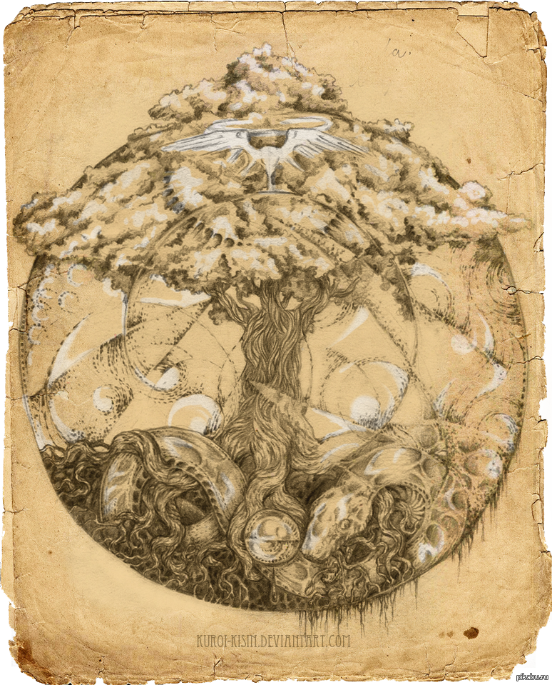 Мир древних деревьев