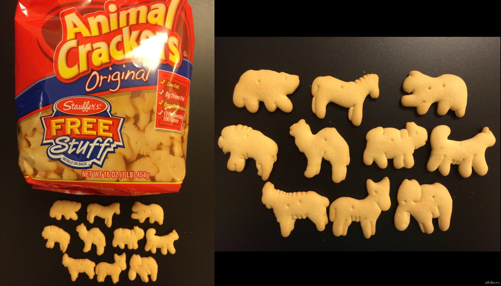 American Zoological! - My, USA, Cookies, zoological