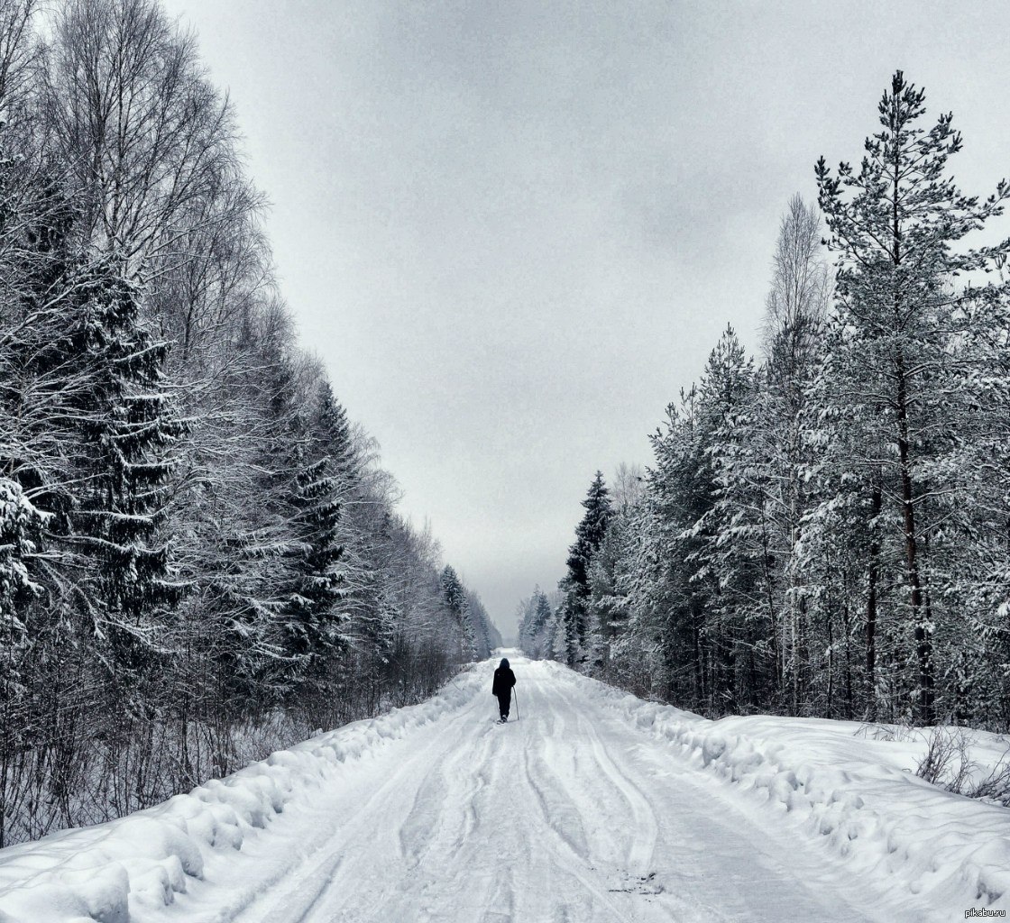 Зима в Ленинградской области. | Пикабу