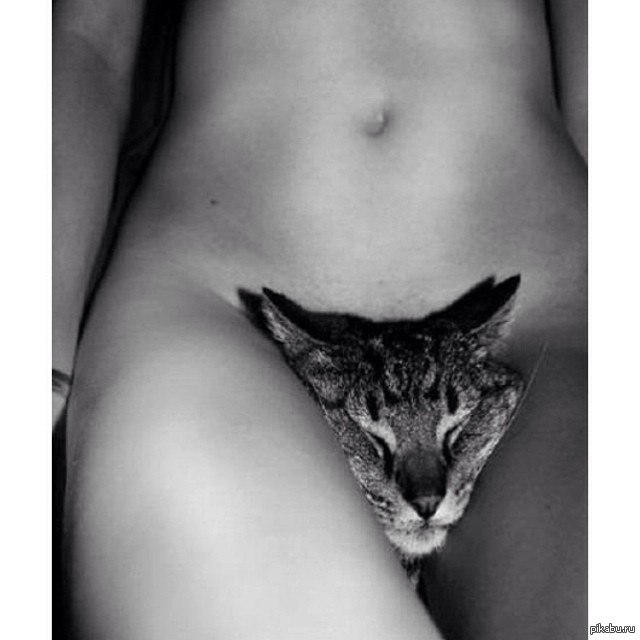 Model Candice Swanepoel - NSFW, The photo, Beautiful girl, Black and white, cat, Strawberry