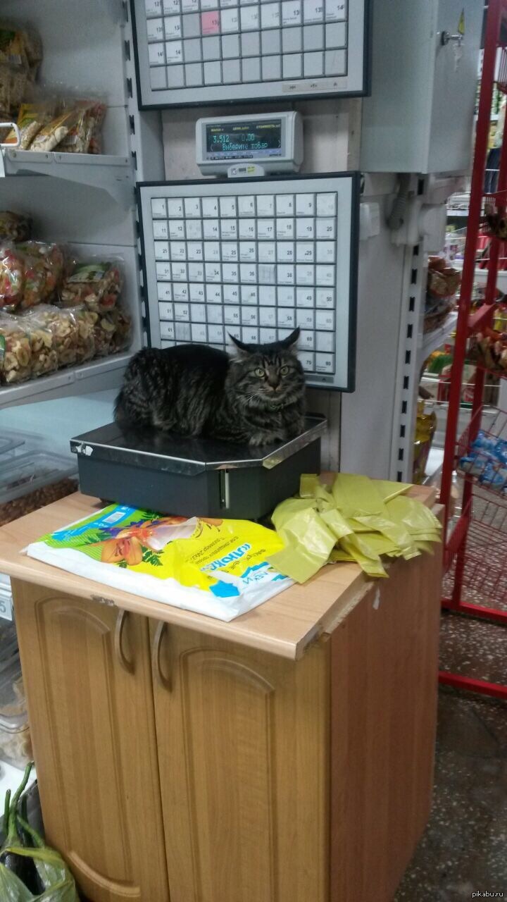 
Магазин Смешные Картинки