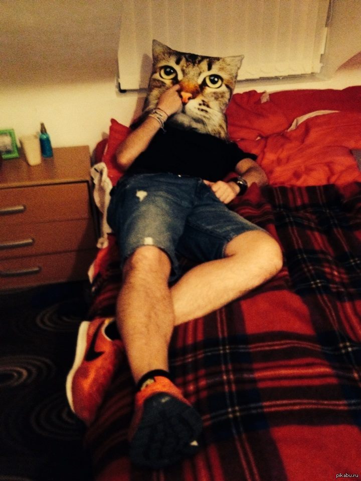 Cat man | Пикабу