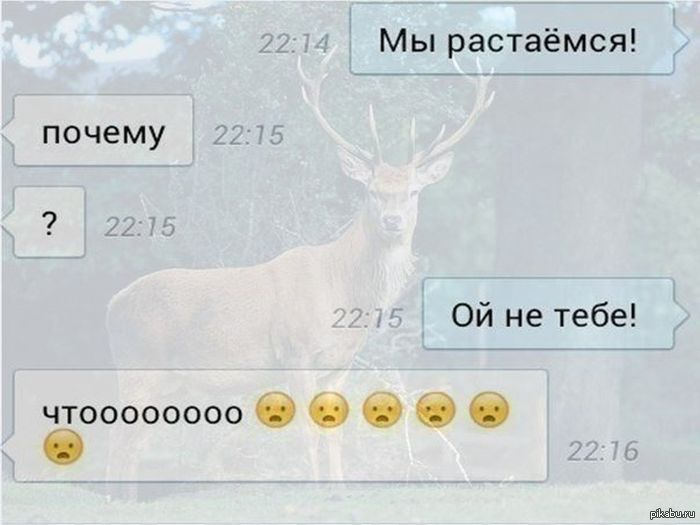 Ой почему нет