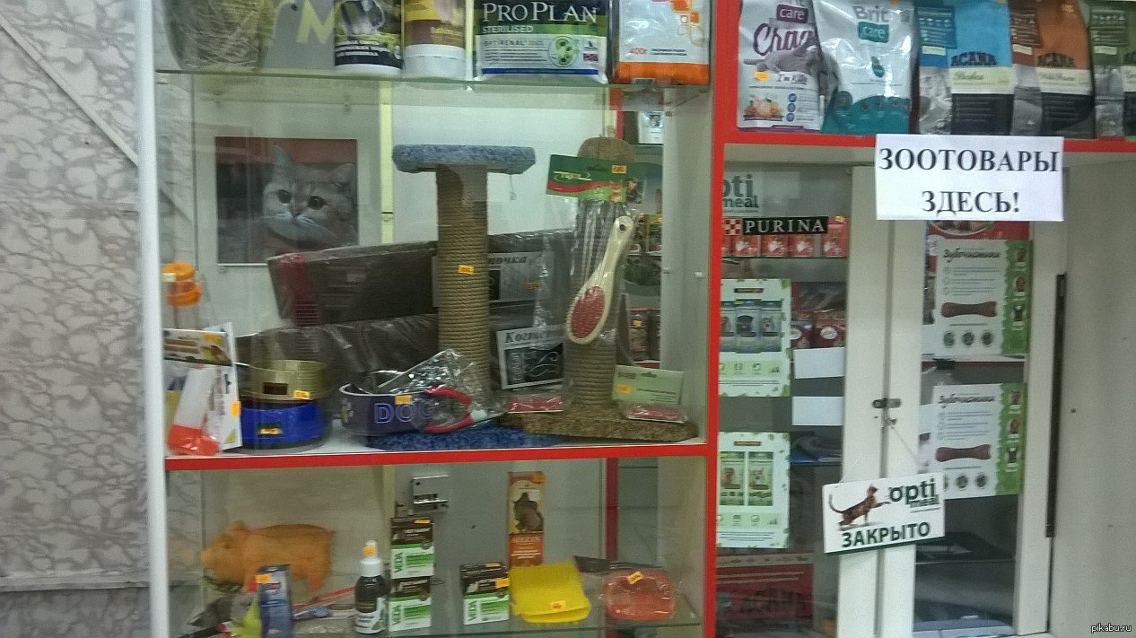Зоомагазинчик.. | Пикабу