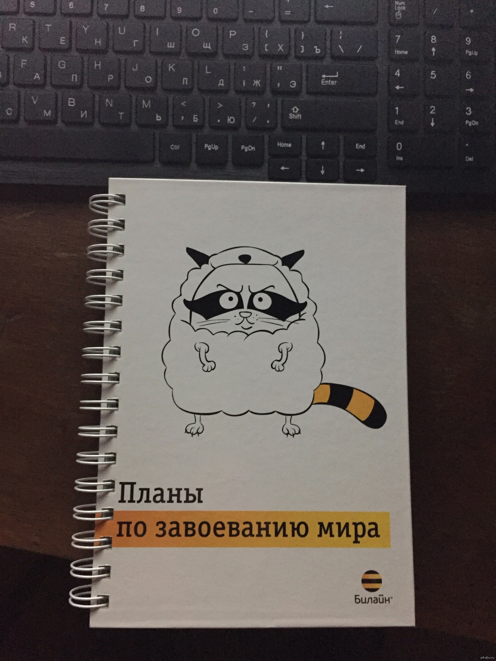 План захвата книга