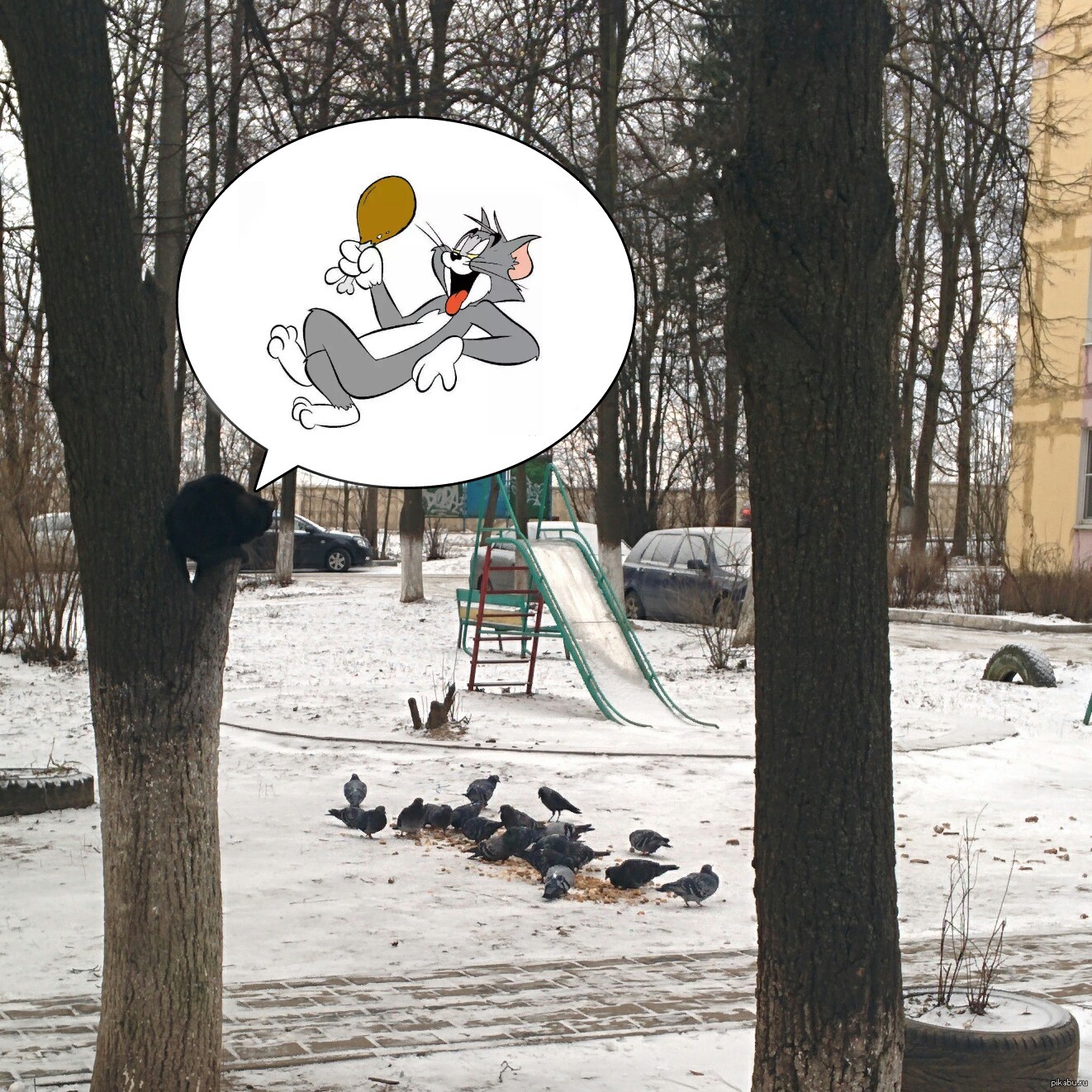 Лев на охоте | Пикабу