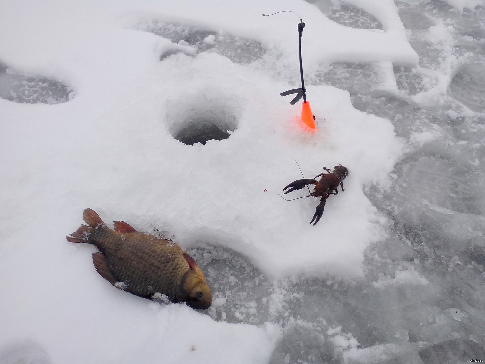 Как ловить на льду