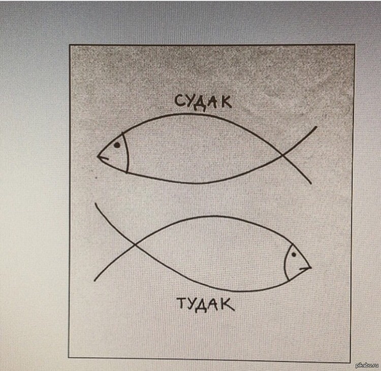 Судак тудак картинка прикольная