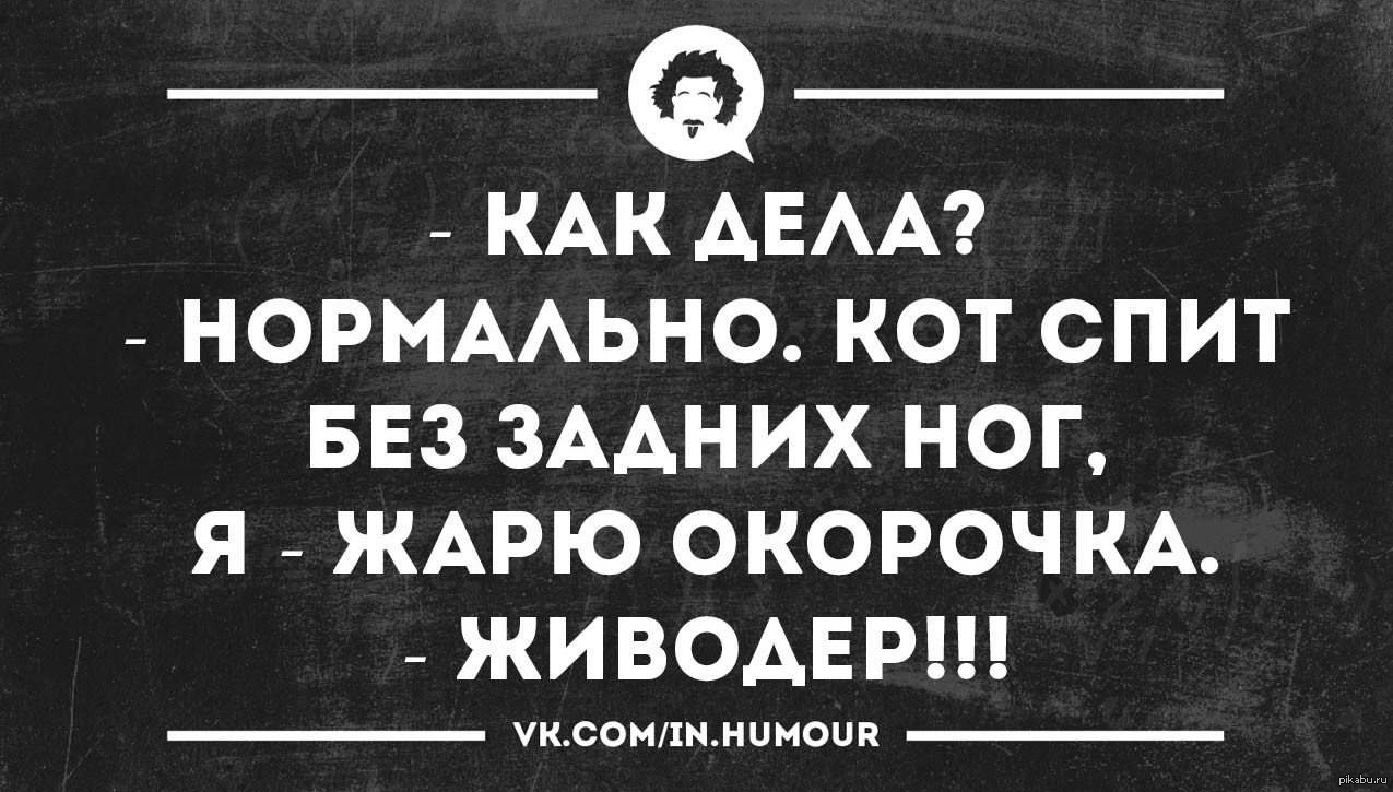 Песня как дела нормально. Как дела нормально. Как дела нормально нормально. Как дела нормально картинки. Открытка дела нормально.