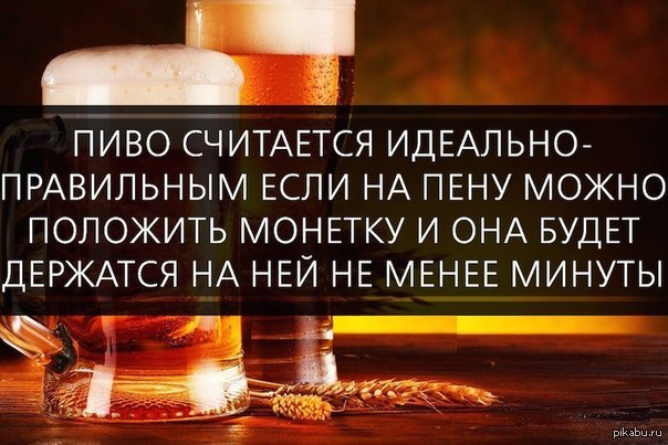 достижению фалкона пивные афоризмы картинки крае сих