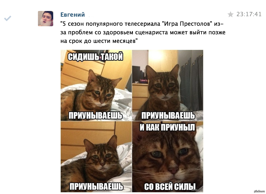 Приуныл. Приуныл со всей силы. Кот приуныл. Приунываешь приунываешь и как приуныл со всей силы. Сидишь такой приунываешь.