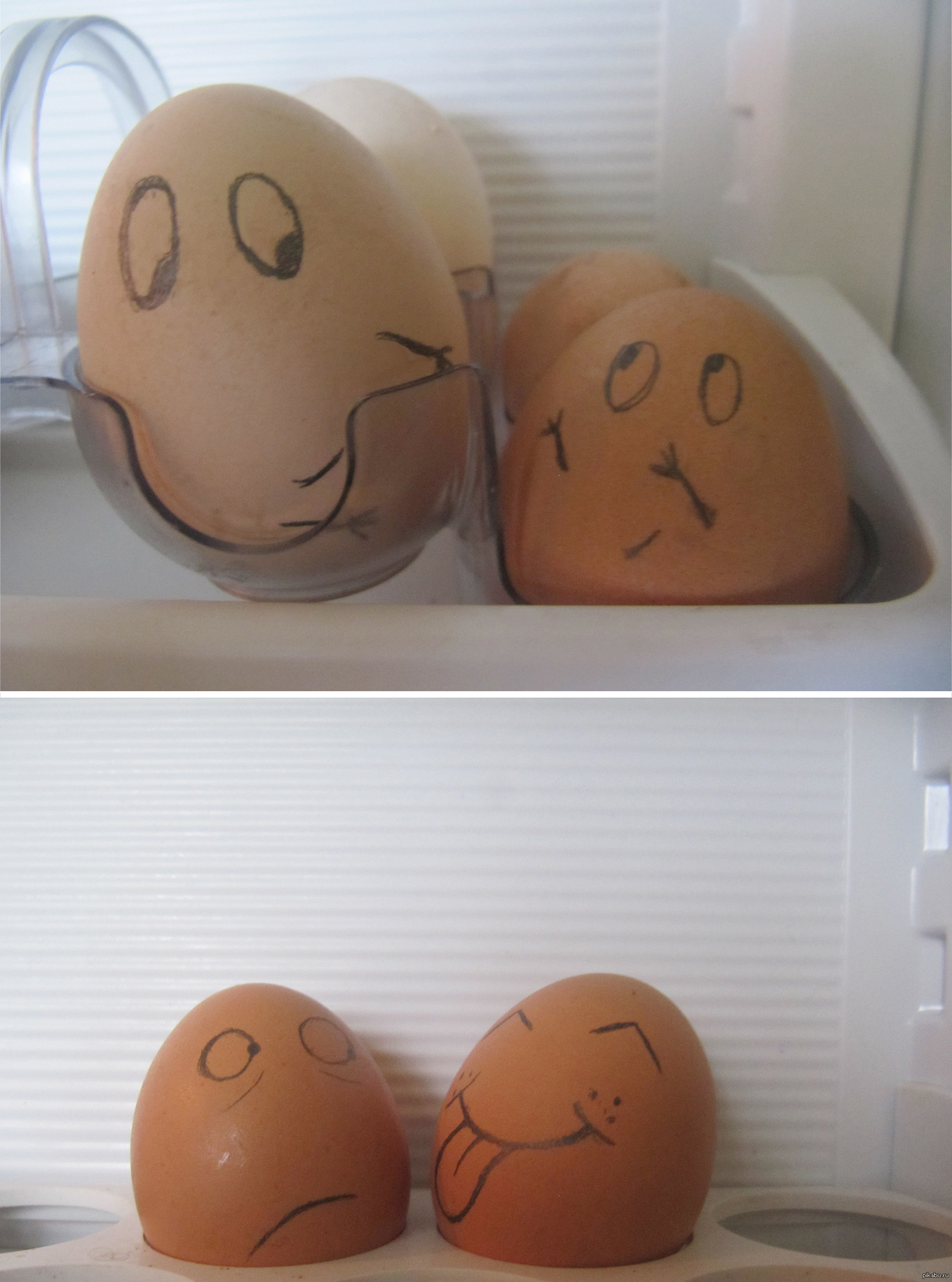 Мордочки на яйцах