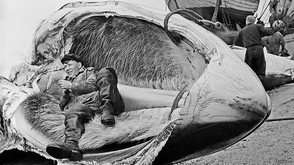 Невероятные Исторические Фотографии