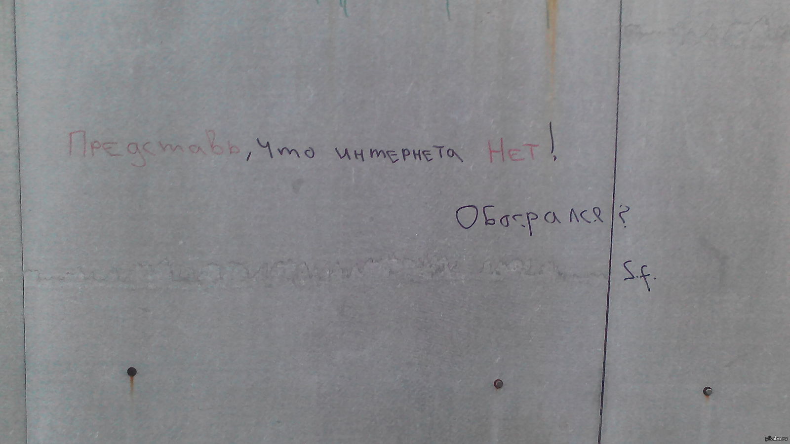 Мудрости стены | Пикабу