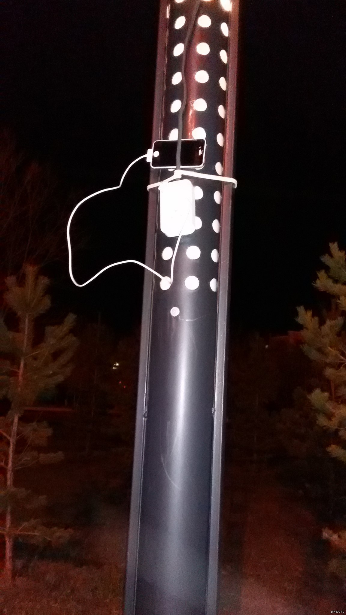 Сегодня вечером гулял в парке и увидел это :) | Пикабу