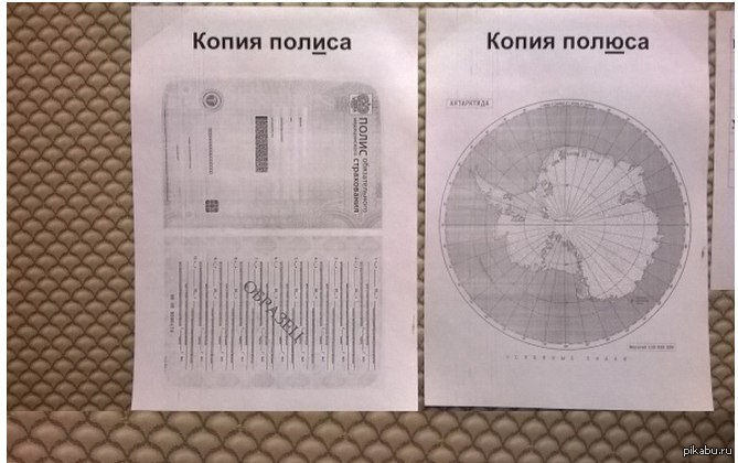 Копия ксерокопия. Копия полиса. Полис и полюс. Копия полюса. Ксерокопия полиса.