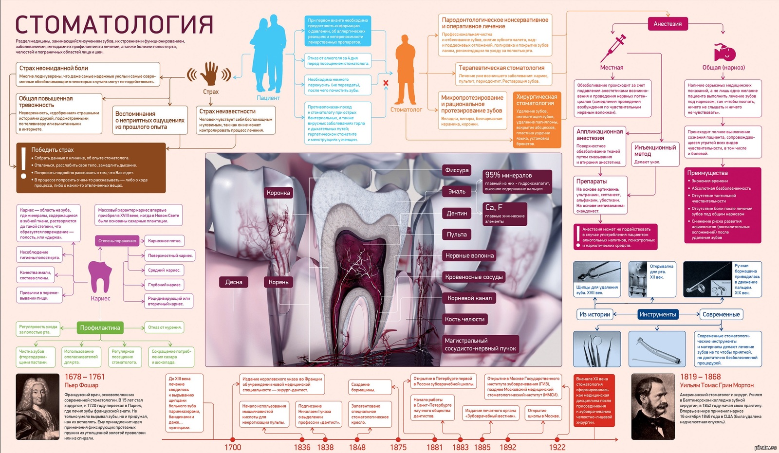 Презентация по стоматологии на английском