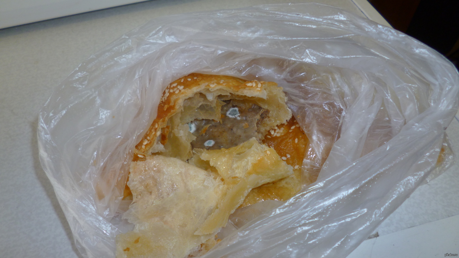 Samsa with mold - Samsa, Mold, Unexpected, Unsanitary conditions, What to do