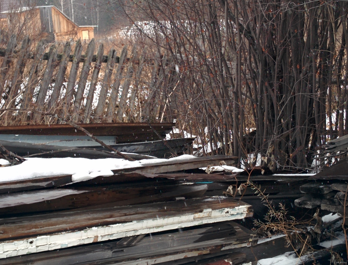 Как найти кота зимой. Кошка в зимнем лесу. Найди кота зимой. Бездомный кот зима. Кошка на улице зимой.